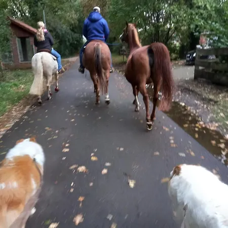 Apartment Gaestehaus Peerhus Doensel - Jung Lueued Rehden