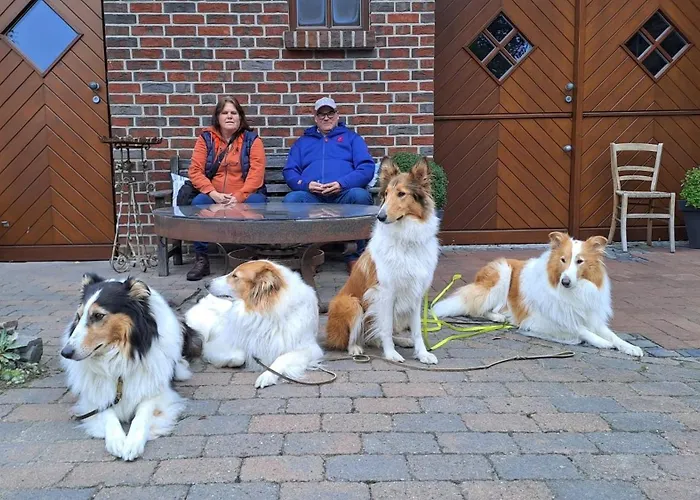 Appartamento Gaestehaus Peerhus Doensel - Jung Lueued *